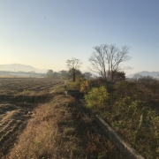 가을 정원의 겨울나기 : 가을 풍경